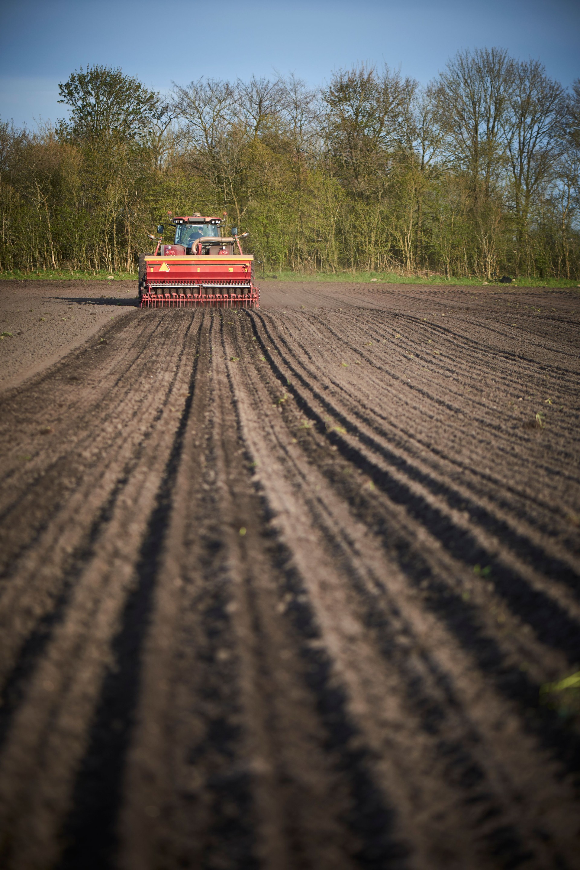Red tractor with sowing machine on a ploughed field
